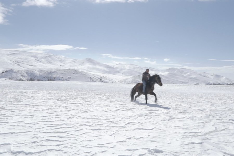 DocuMonday: 5 Dreamers and a Horse (February 20)