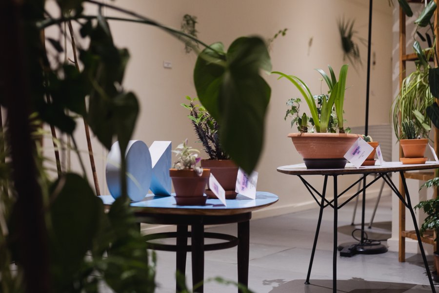 Institute of Documentary Film is now certified in sustainable event management