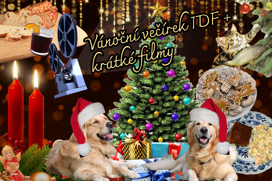 Vánoční večírek IDF + krátké filmy (13. 12.)