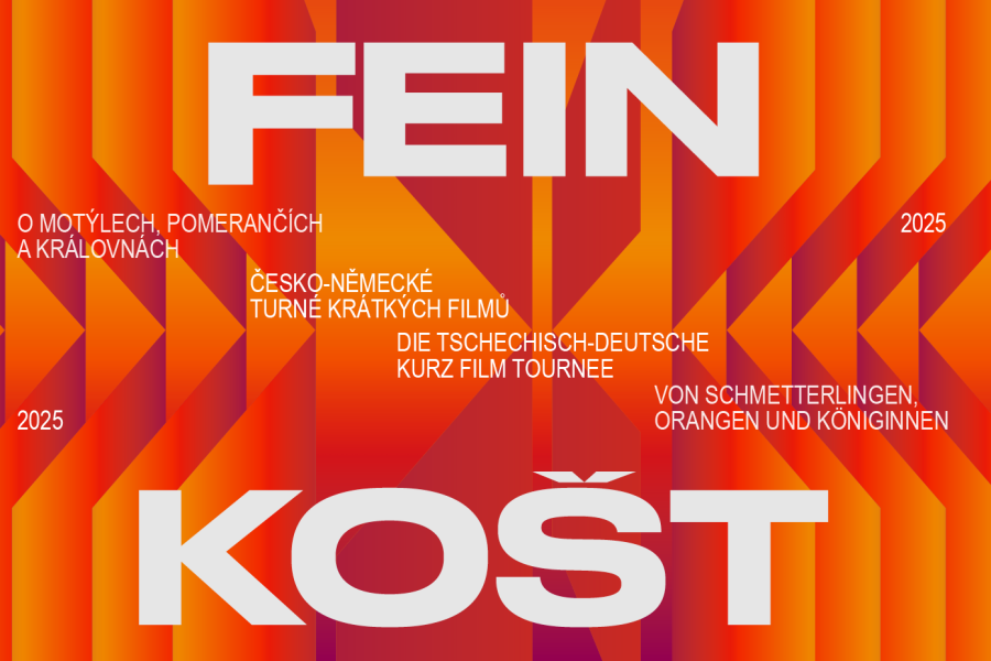 Premiere of FEINKOŠT 2025: Of Butterflies, Oranges and Queens + discussion