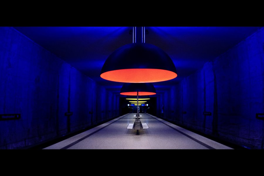 East Doc Series Presentation at IDFA 2022