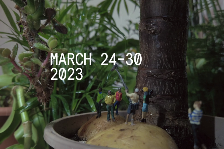 Program East Doc Platform 2023