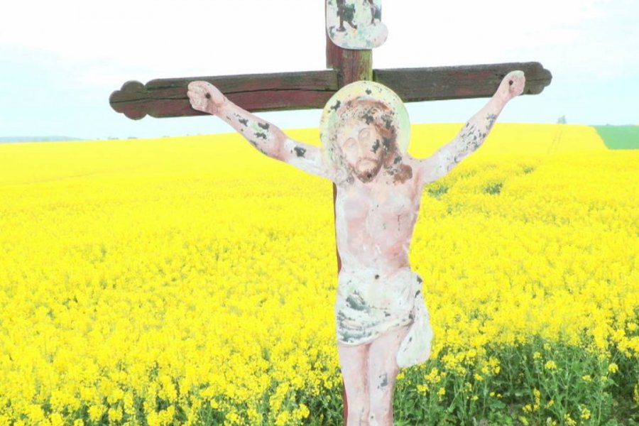 Do kin přichází trojice českých dokumentů