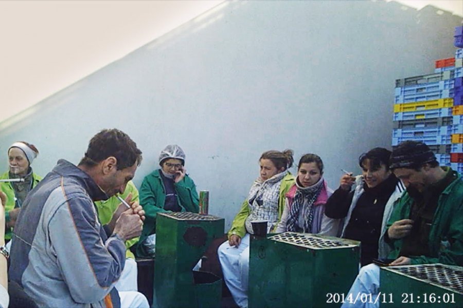 The Limits of Work and other documentaries from East Silver Caravan at Krakow Film Festival
