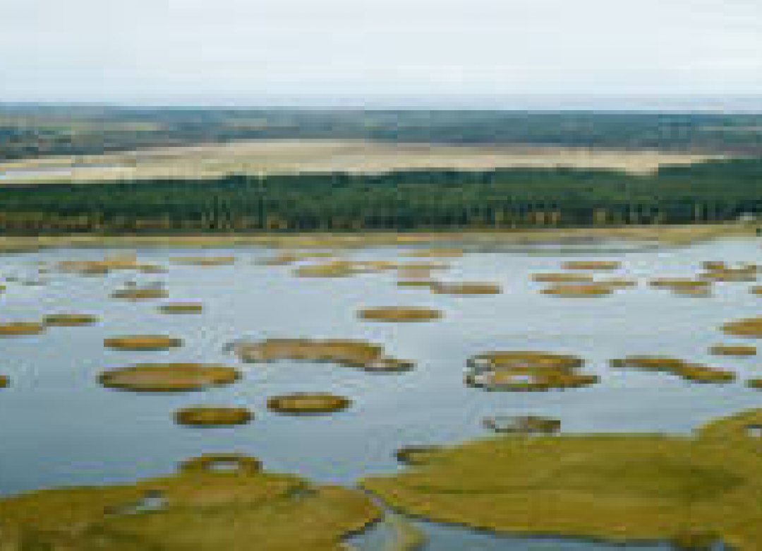 Engure. Lake Given by the Sea.
