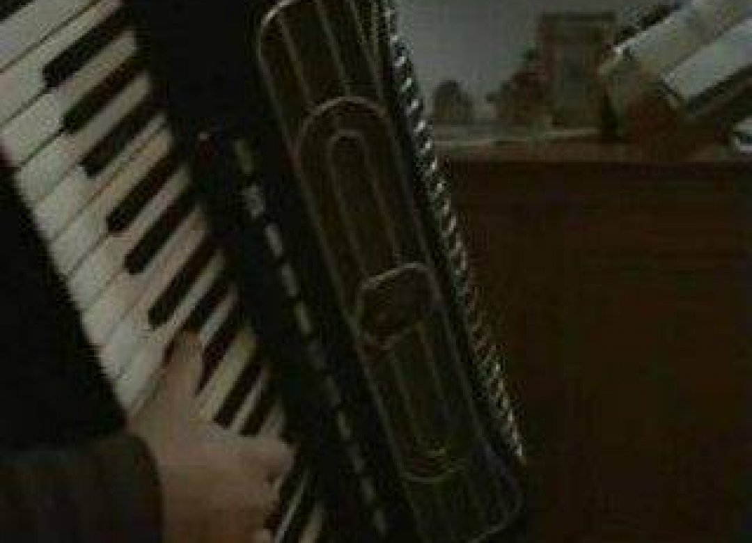 Macedonian Dream - A Girl and her accordition