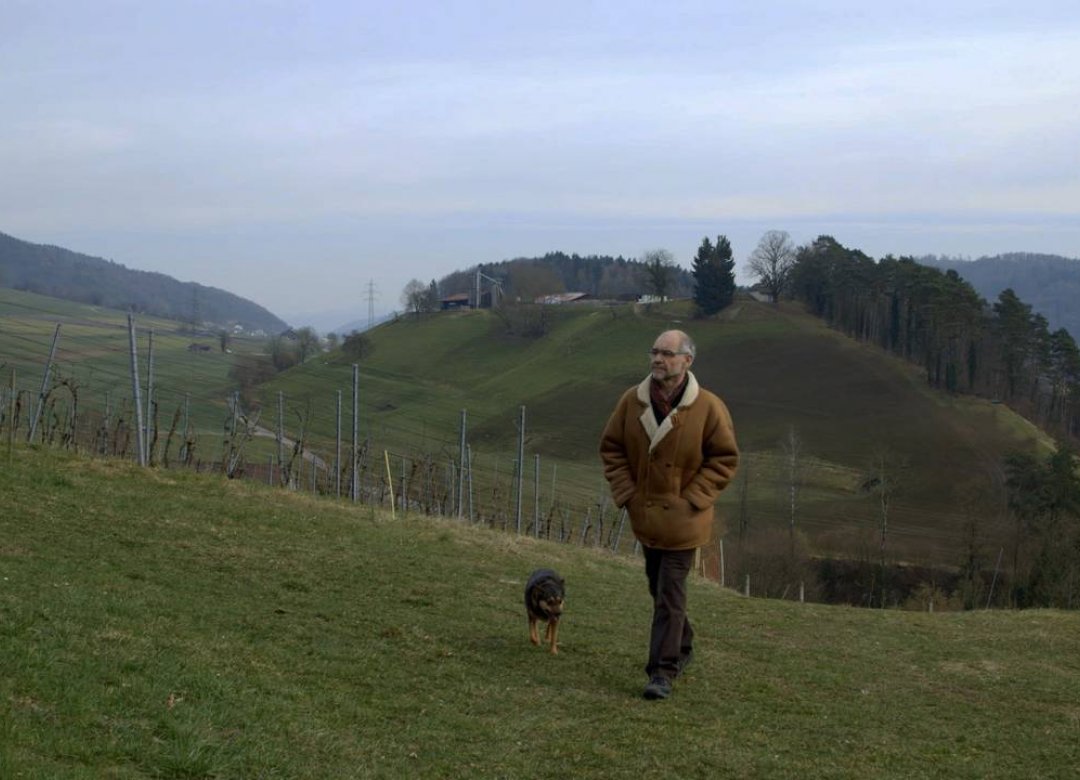 Offshore - Elmer and the swiss bank secrecy