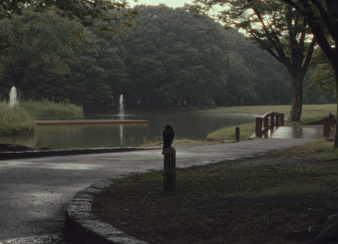 Yoyogi