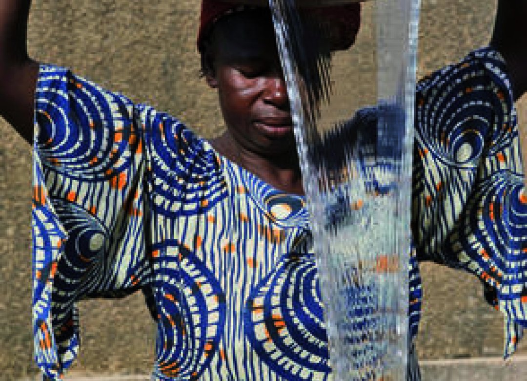 Burkinabè Bounty: agroecology in Burkina Faso