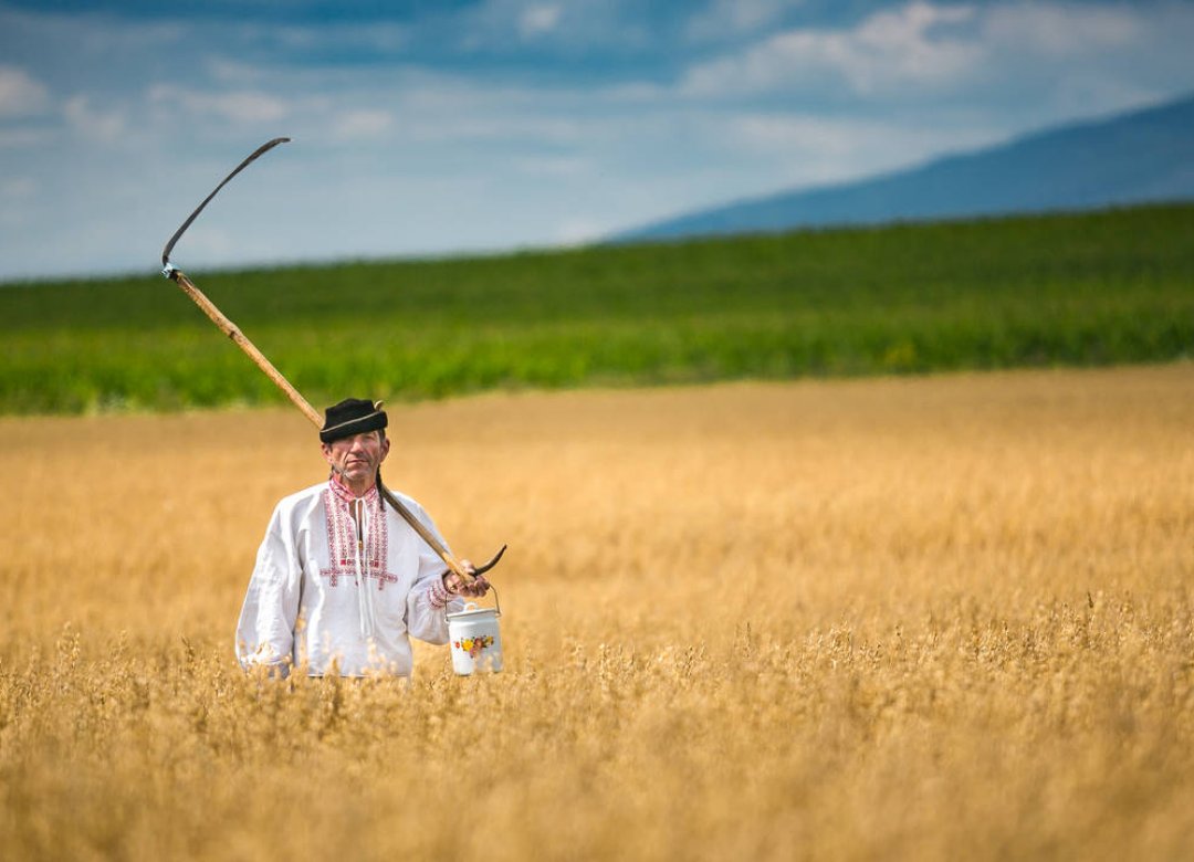 When Land Is Looking for Its Heaven