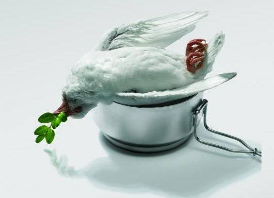 Cooking History