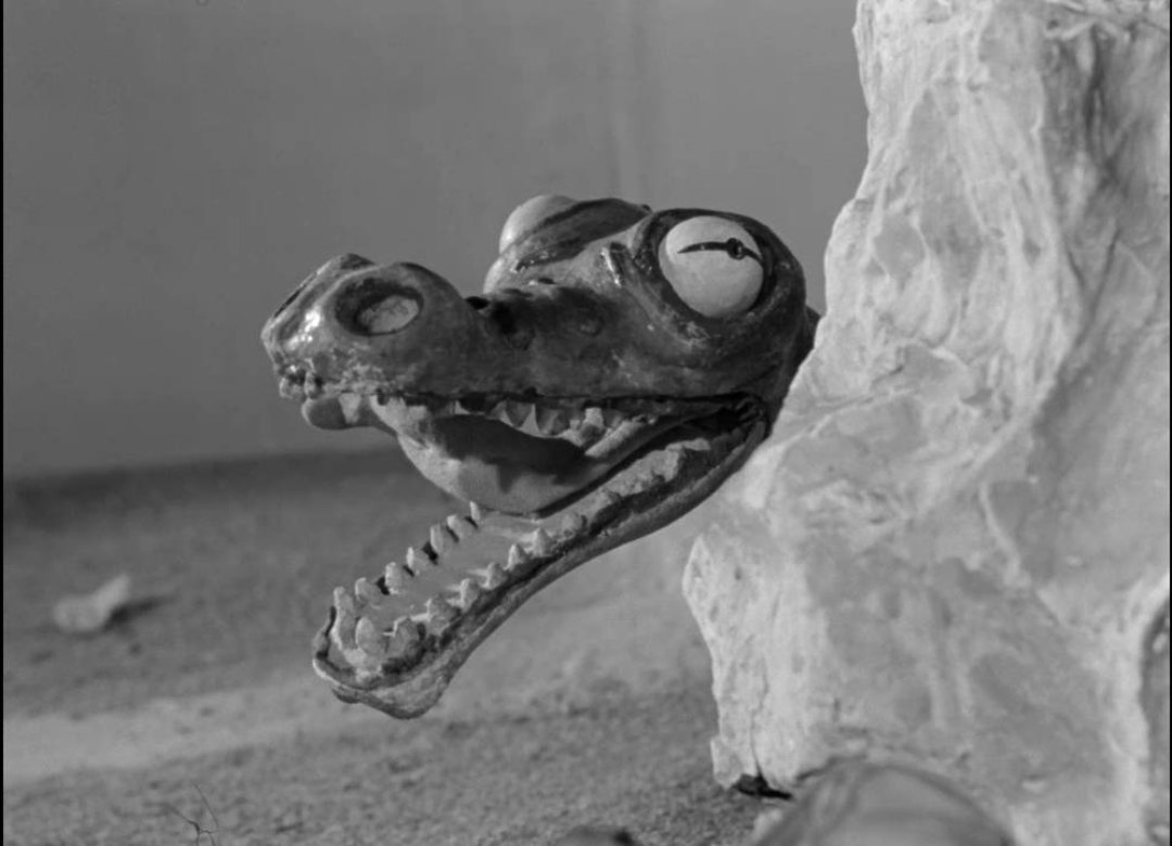 Fanatics: The History of Polish Animated Film