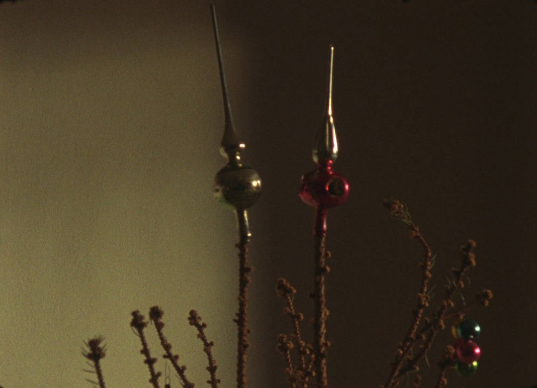 Traces, Fragments, Roots