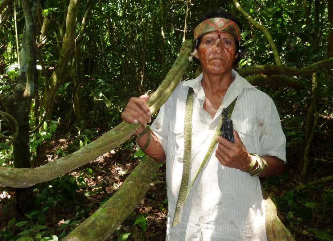 Maestra Ayahuasca