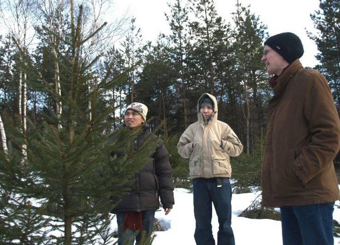The Tree Workers Case
