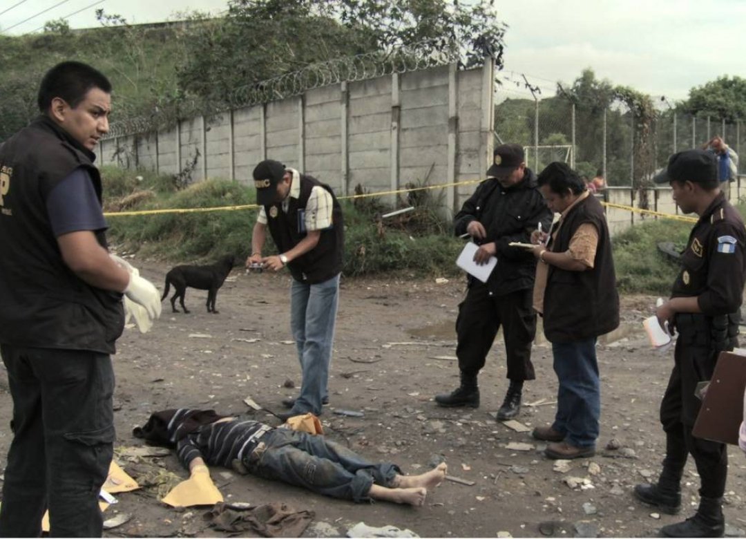 Evolution of Violence
